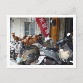 Grang för Doxies vycard Vykort