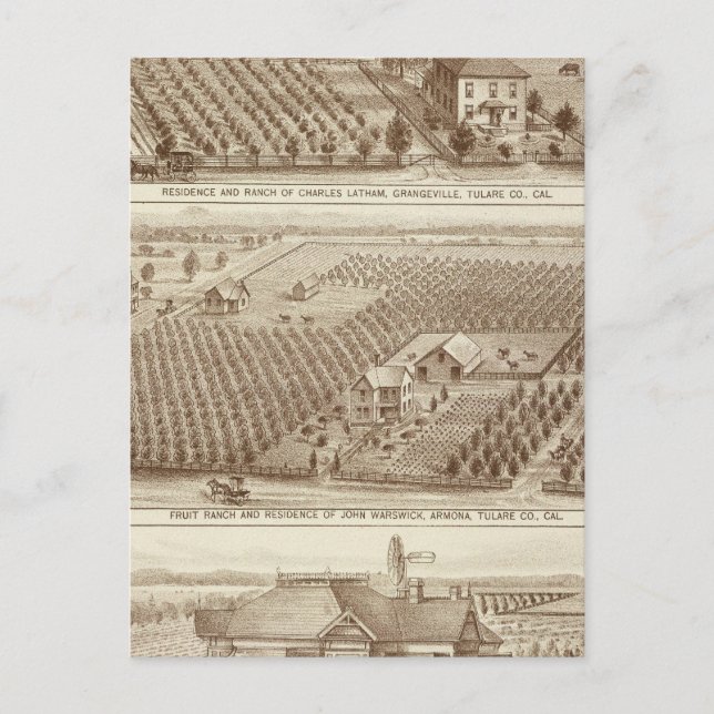 Grangeville, Armona ranches Vykort (Framsida)