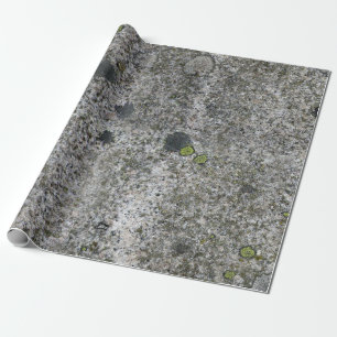 Granit för geologistengrått med grön Moss Presentpapper