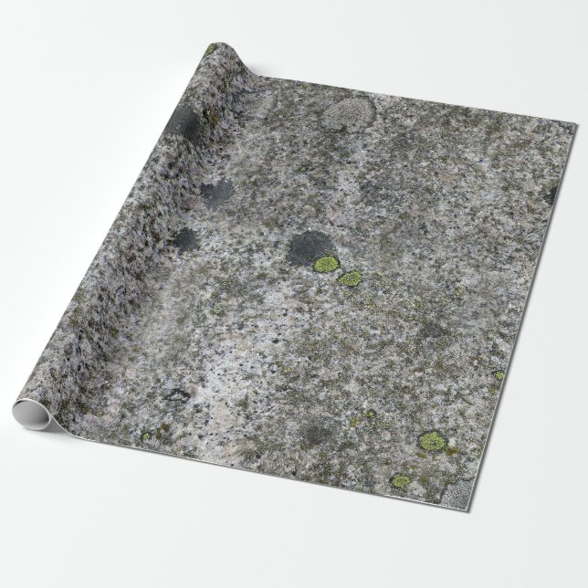 Granit för geologistengrått med grön Moss Presentpapper (Utrullad)
