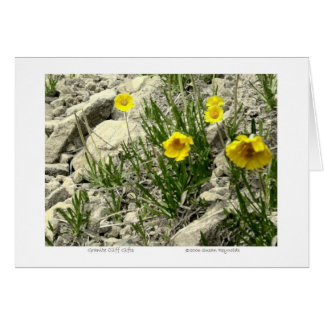 Granite Cliff Gifts Hälsningskort