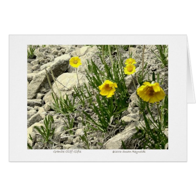 Granite Cliff Gifts Hälsningskort (Framsidan Horizontal)