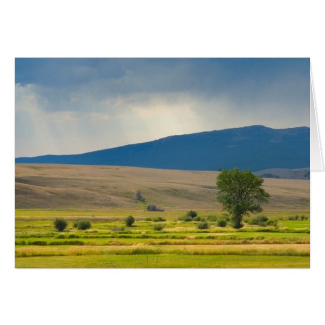 Granite County Montana Hälsningskort (Framsidan Horizontal)