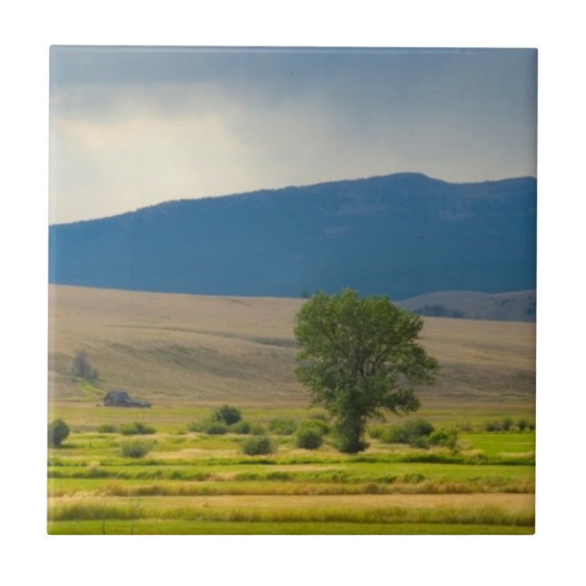 Granite County Montana Kakelplatta (Framsidan)
