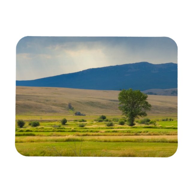 Granite County Montana Magnet (Horisontell)