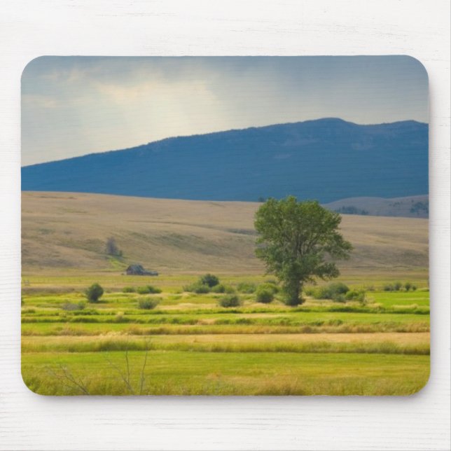 Granite County Montana Musmatta (Framsidan)