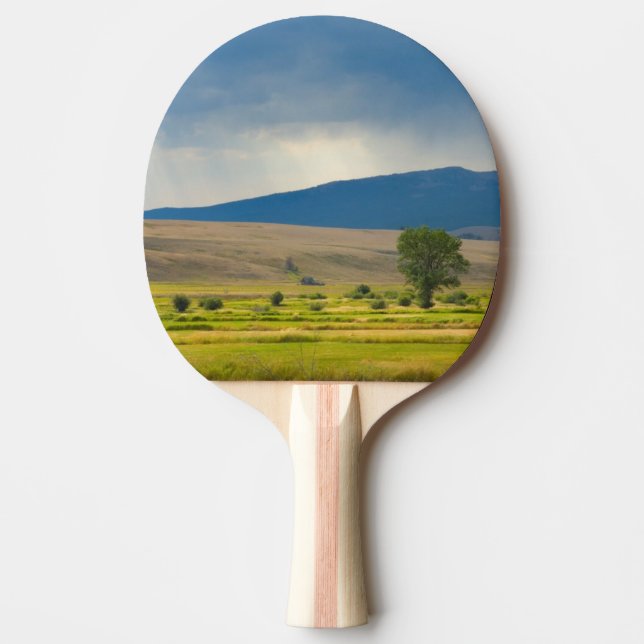 Granite County Montana Pingisracket (Framsidan)