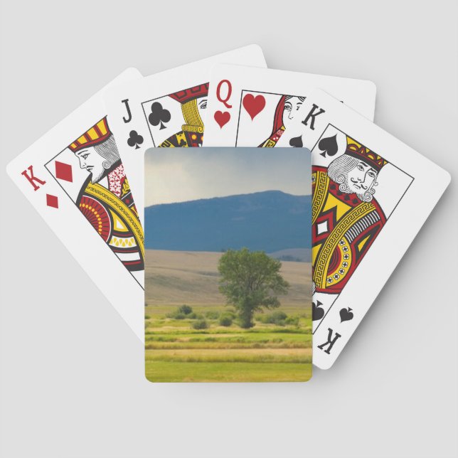 Granite County Montana Spel Kort (Baksidan)