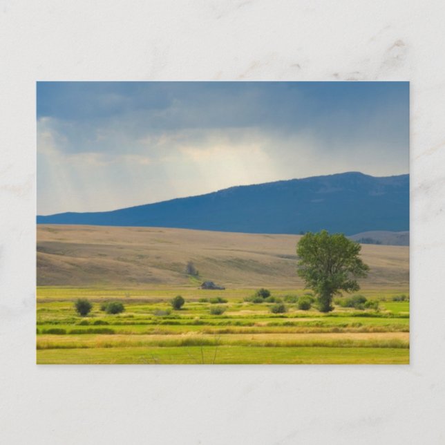 Granite County Montana Vykort (Framsida)