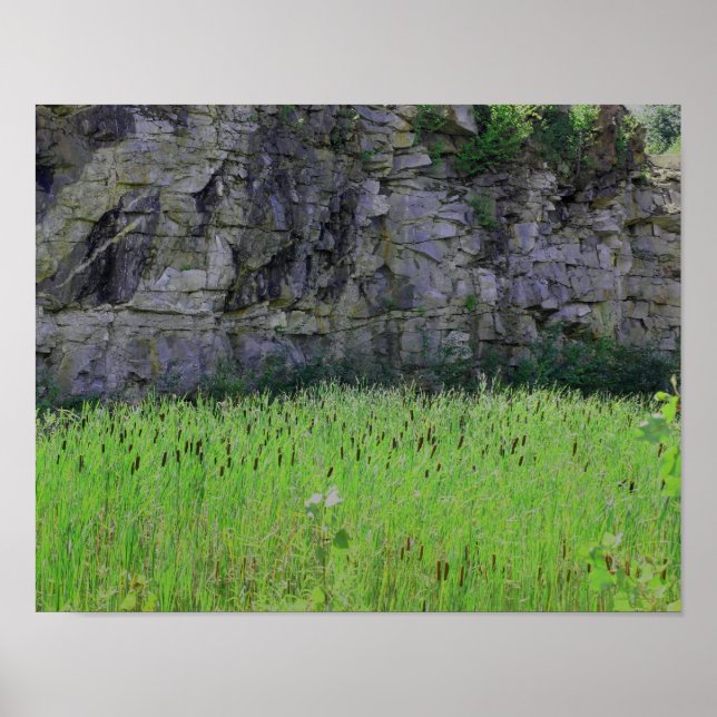 Granite Quarry Sten Cliff Wall Cattails Natur Poster (Framsidan)