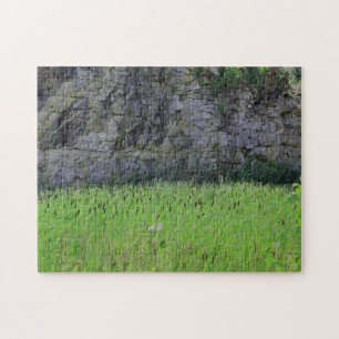Granite Quarry Sten Cliff Wall Cattails Natur Pussel