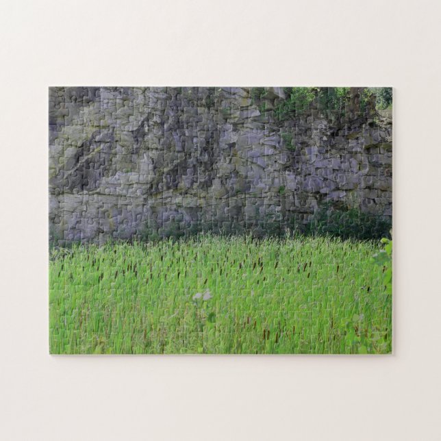 Granite Quarry Sten Cliff Wall Cattails Natur Pussel (Horisontell)