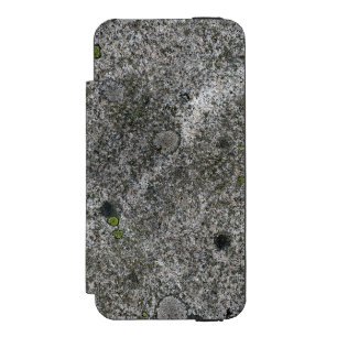 Granite Sten Grått med Grönt Moss