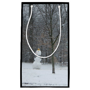 Grannens vinterscen i Snö i Snögubbe