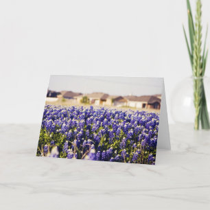 Grannskapfullt av bluebonnets tack kort