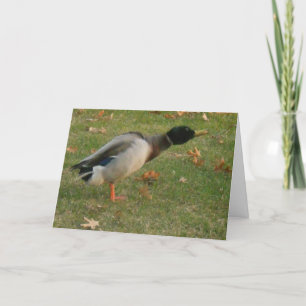 "GrannskapsMallard Shaking" - tackkort Kort
