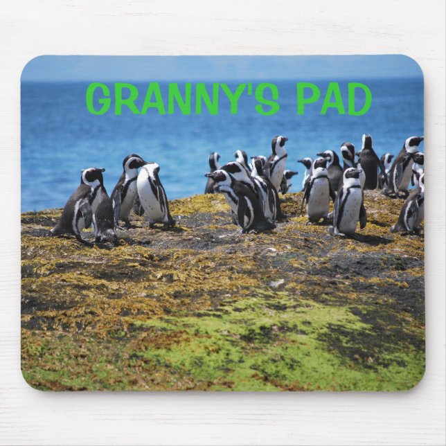 Granny'sen vadderar musmatta (Framsidan)