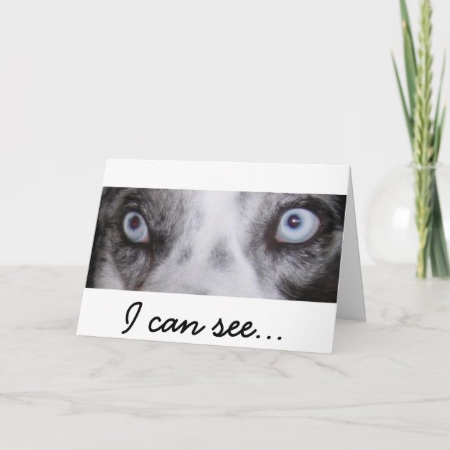 Gräns-Aussie-födelsedagskort Kort (Framsida)