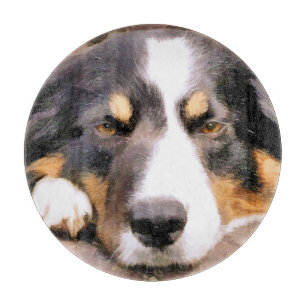 GRÄNS COLLIE