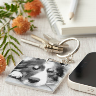 GRÄNS COLLIE