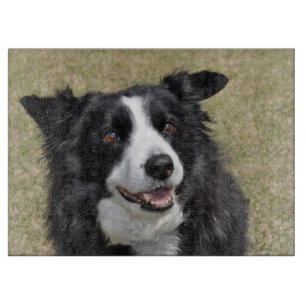 Gräns collie