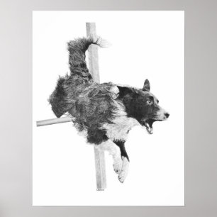 Gräns Collie Agilitet Hund Art Hund Teckning Poster