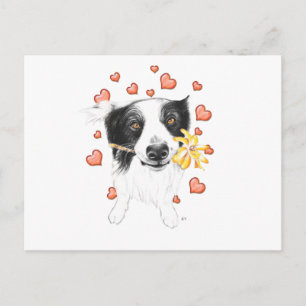 Gräns Collie and Hearts Vykort