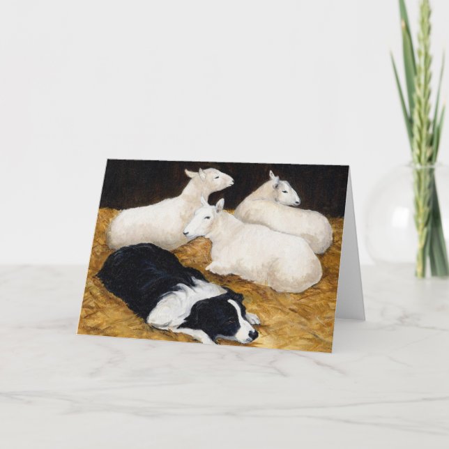 "Gräns Collie and Sheep"-kort för Hund Kort (Framsida)