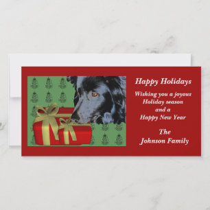 Gräns Collie Animal julkort Helgdag Card