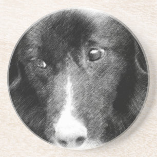 Gräns Collie Ansikte Hund Animal Underlägg