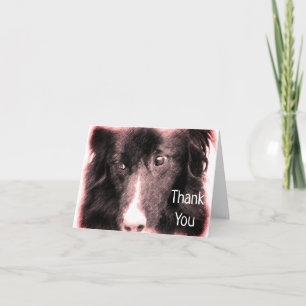 Gräns Collie Ansikte Hund Art - tackkort