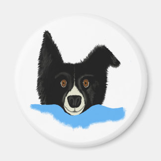 Gräns Collie Ansikte Magnet