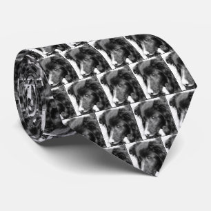 Gräns Collie Ansikte Pencil Art Slips
