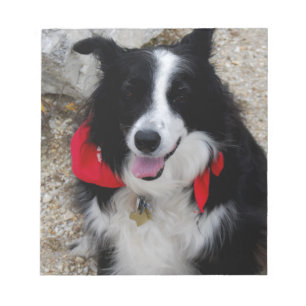 Gräns Collie Anteckningsblock