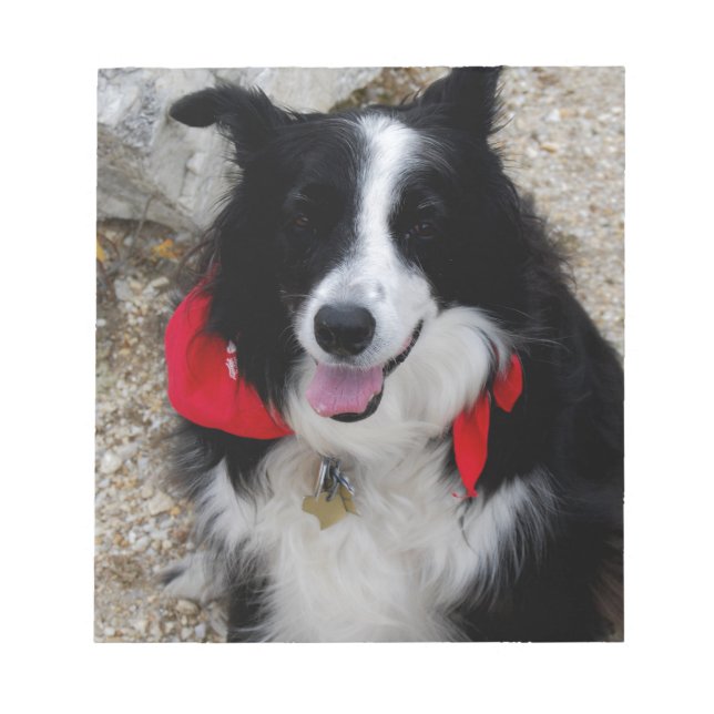 Gräns Collie Anteckningsblock (Framsida)