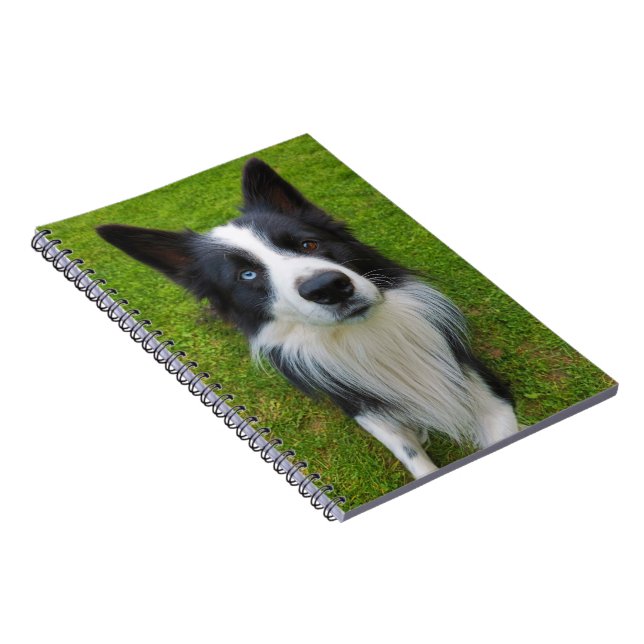 Gräns Collie Anteckningsbok (Högra Sidan)