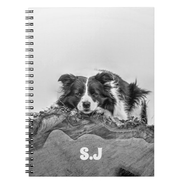 Gräns Collie Anteckningsbok (Framsidan)