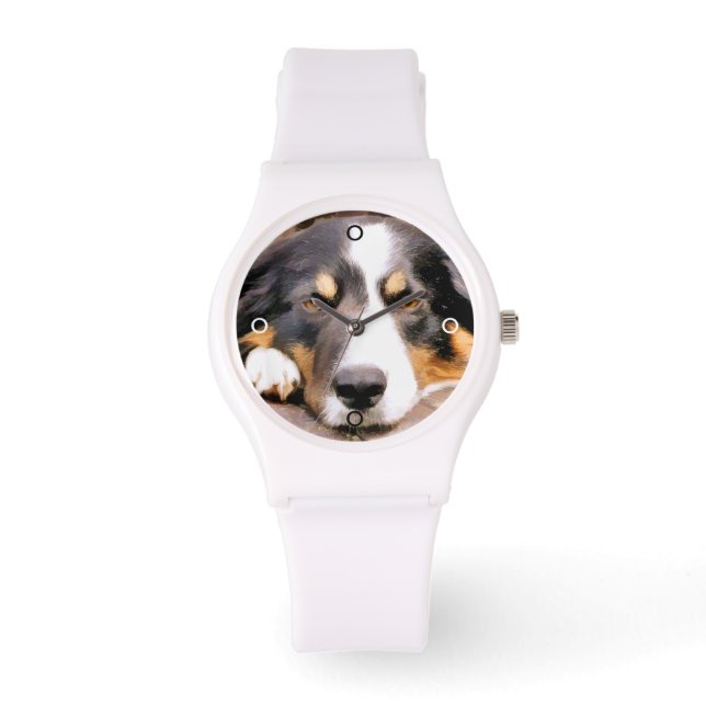 GRÄNS COLLIE ARMBANDSUR (Framsida)