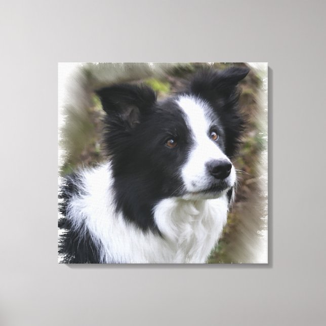 Gräns Collie Art Canvastryck (Framsida)