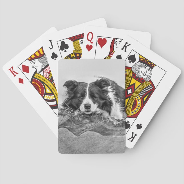Gräns Collie Art Casinokort (Baksidan)