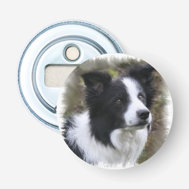 Gräns Collie Art Flasköppnare (Framsidan)