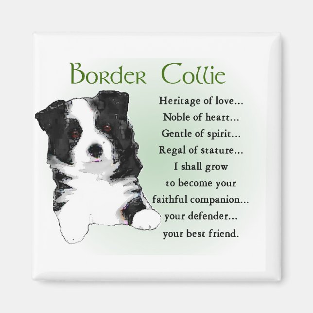 Gräns Collie Art Gifts Magnet (Framsidan)