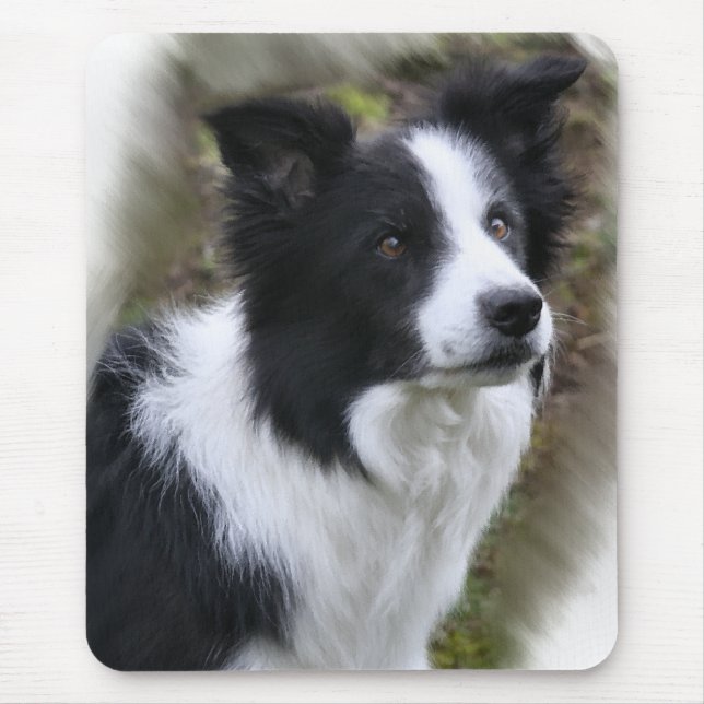 Gräns Collie Art Gifts Musmatta (Framsidan)