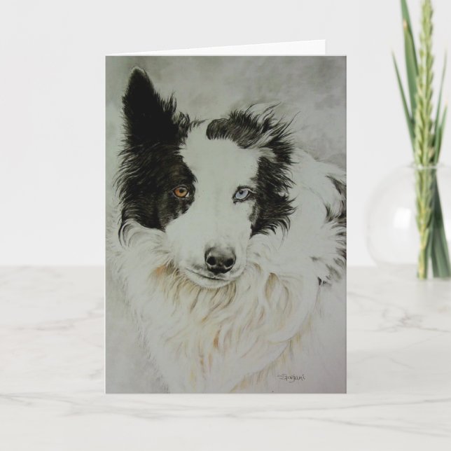 Gräns Collie/Aussie Greeting Card Kort (Framsida)