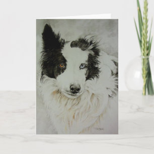 Gräns Collie/Aussie Greeting Card Kort