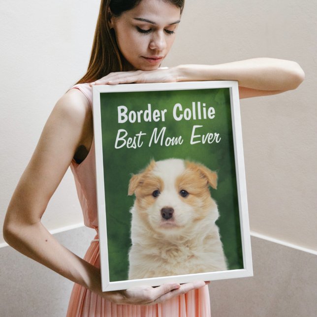 Gräns Collie Best Mamma Poster (Skapare uppladdad)