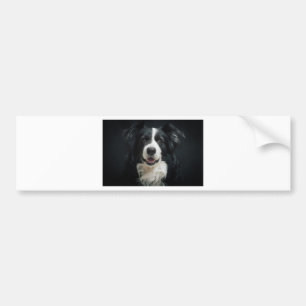 gräns-collie bildekal