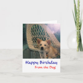 Gräns Collie Birthday Card Kort