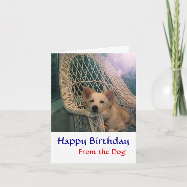 Gräns Collie Birthday Card Kort (Framsida)