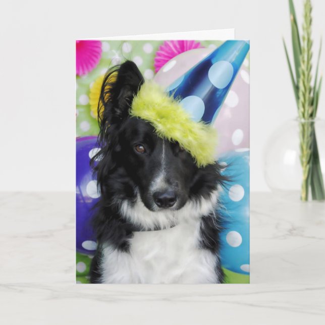 Gräns Collie Birthday Card Kort (Framsida)